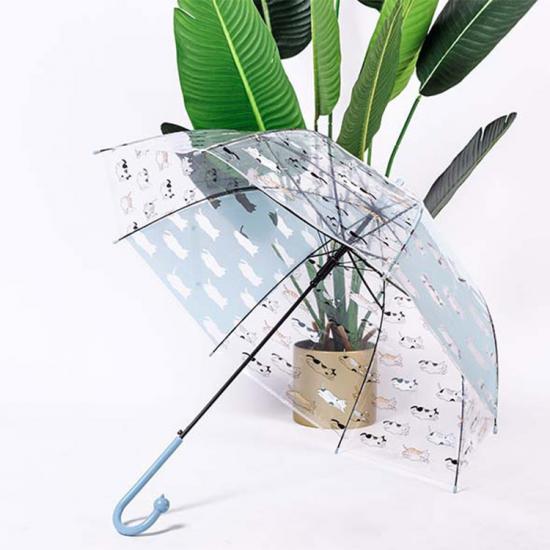 Gato creativo mango niños paraguas transparente